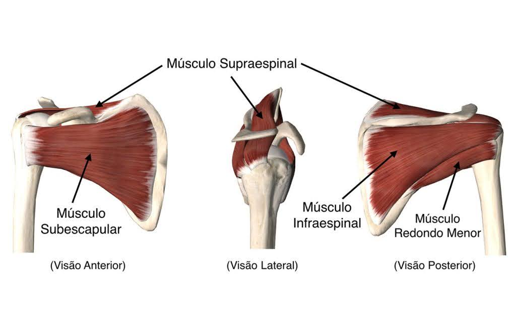 sindrome-manguito-rotador-causas-dr-eric-curi-ortopedista-ombro-cotovelo-sao-paulo